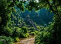 ancient cities hidden in jungles
